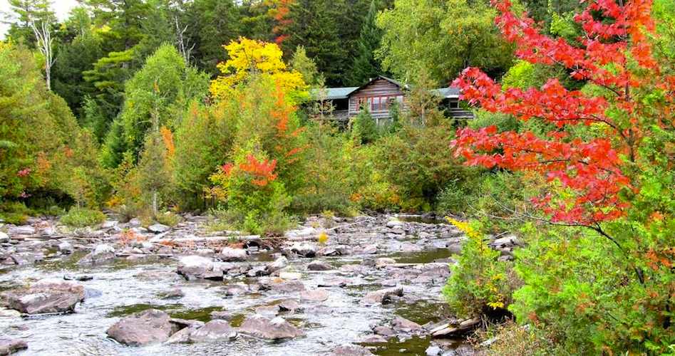 Great view from the Stream :: Harrison's Pierce Pond Camps