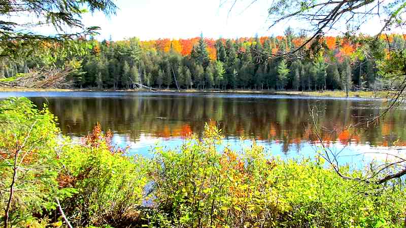 Pond :: Harrison's Pierce Pond Camps